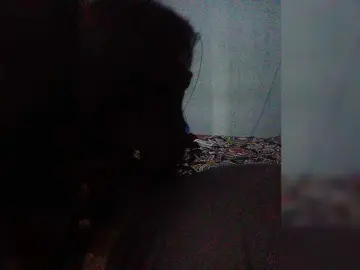 Bongacams Adult Webcam of FunDose