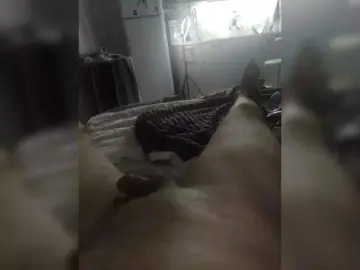 Bongacams Sex Chat of Kaifyli34