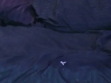 Bongacams Free Live Porn of GysellHanson