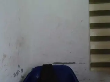Bongacams Nude Webcam of Sexyxcunt