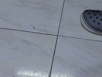 Bongacams Live Sex of room-kitty