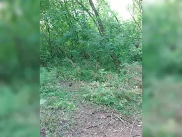 Bongacams Sex Chat of Lubovniki