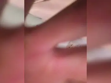 Bongacams Best live sex cam show of Grex007
