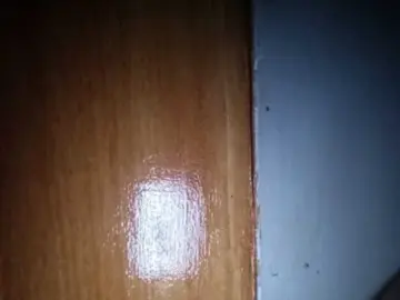 Bongacams Watch Live Sex Cams of Pempemliciouss