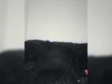 Bongacams Live Porn of BABYam