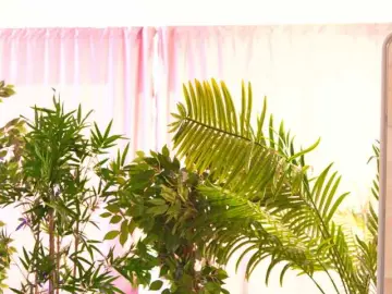 Bongacams Free Live Porn of RosalieFleur