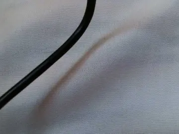 Bongacams Sex Cam of TvoyaIgrushka