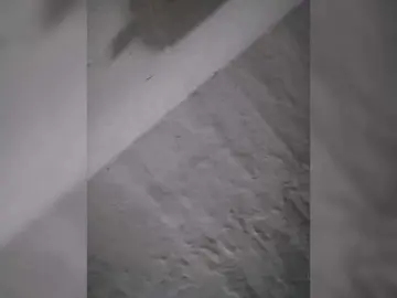 Bongacams Adult Webcam of IndianBeaut