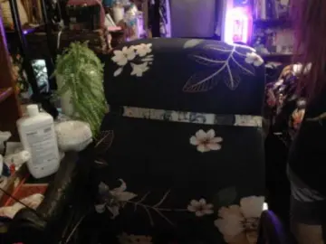 Bongacams Adult Webcam of pussyxpaladin