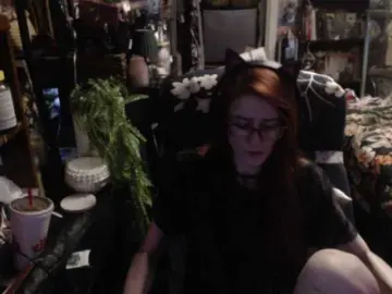 Bongacams Adult Video Chat of pussyxpaladin