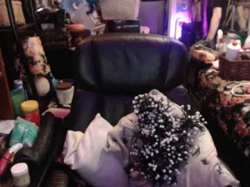 Bongacams Adult Video Chat of pussyxpaladin