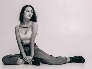 Elizabetswan