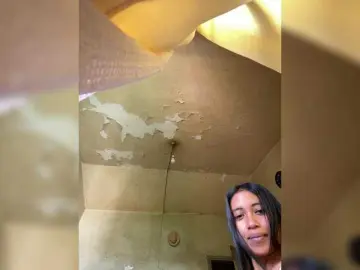 Bongacams Free Live Porn of Dremyfirt