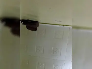 Bongacams Nude Webcam of dorothykemunto