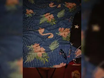 Bongacams Private Sex Chat of Pingwin89