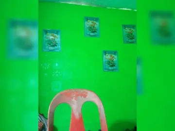 Bongacams Adult Webcam of Kyrene