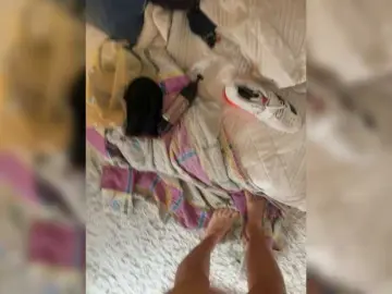 Bongacams Sex Cam of aniram2221