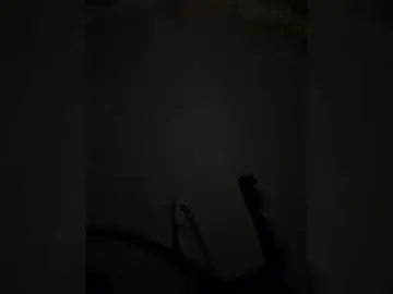 Bongacams Live Sex Cam of aniram2221