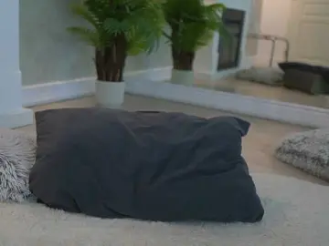 Bongacams Live Sex of MyaBlack