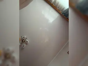 Bongacams Free Porn Cam of MilfaSguirt