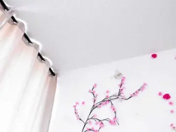 Bongacams Adult Webcams of NicoRobinx