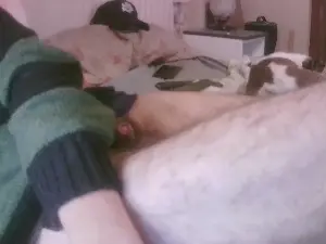 Cam4 Live Porn of robotech