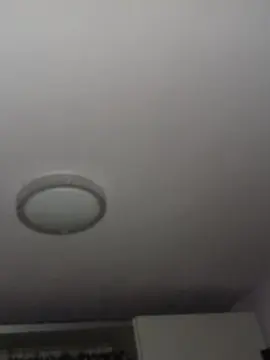 Cam4 Sex Cam of Bicasso