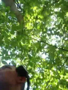 Cam4 Sex Cam of Becquet