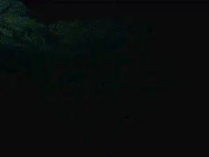 Cam4 Free Porn Cam of skyskyjunior