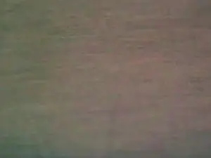 Cam4 Adult Webcams of best189