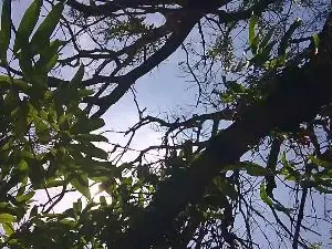 Cam4 Live Sex of MONSTER777DADDY