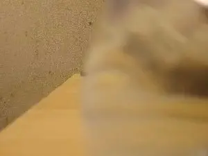 Cam4 Live Sex of Flaitevergon
