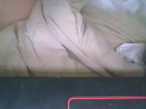 Cam4 Adult Webcam of RaveisKing75
