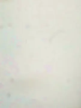 Cam4 Live Porn of Nummag767
