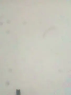 Cam4 Free Porn Cam of Nummag767