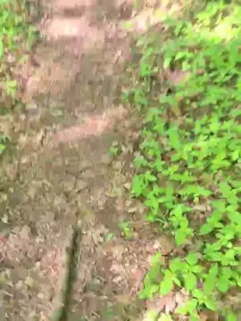 Cam4 Free Porn Cam of imfreienzeigen