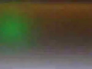 Cam4 Best Webcam of pigpants69