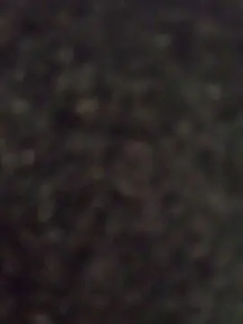 Cam4 Live Sex Cam of Stormbreakers