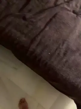 Cam4 Free Live Porn of ArabeDiscreto