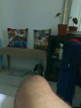 Cam4 Free Porn Cam of ArabeDiscreto