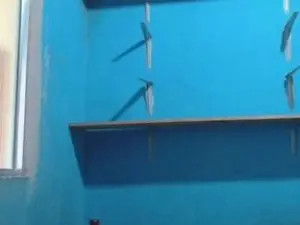 Cam4 Live Porn of caboclonomad