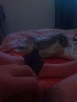 Cam4 Best Webcam of Pauzudoconteudo