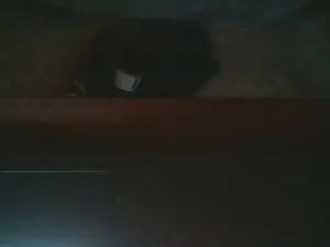 Cam4 Private Sex Chat of Dom_Sub
