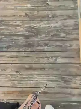 Cam4 Adult Webcams of raelynnbby