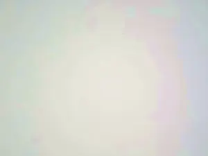 Cam4 Live Sex of Quiperte