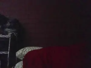 Cam4 Adult Webcam of SexyChekz48