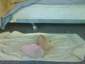 Cam4 Live Porn of cali64