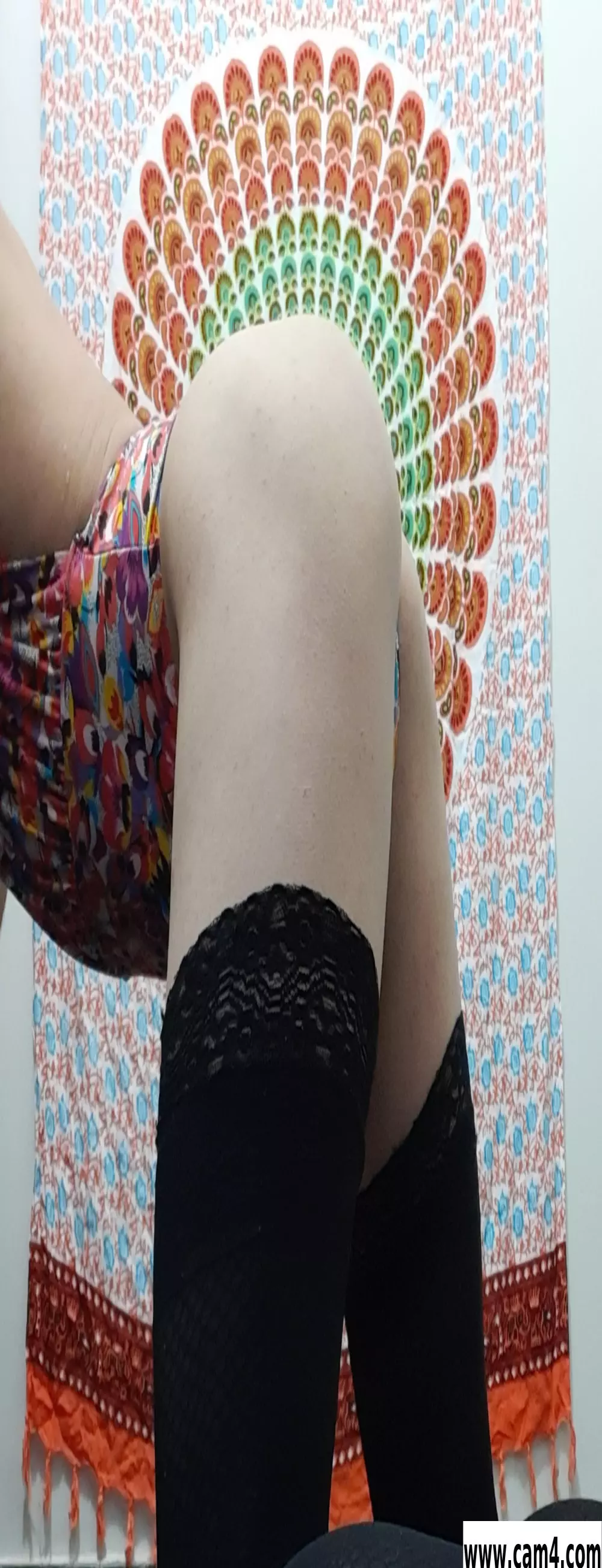 Juliane_trans