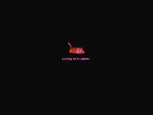 Cam4 Sex Chat of valdelacroix