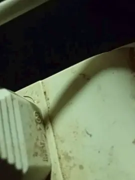 Cam4 Free Porn Cam of Conchaliiiiii